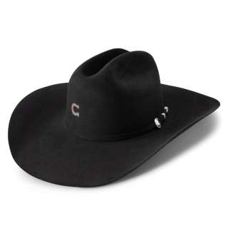 CHARLIE 1 HORSE | 20X THE CHAMP COWGIRL HAT-Black
